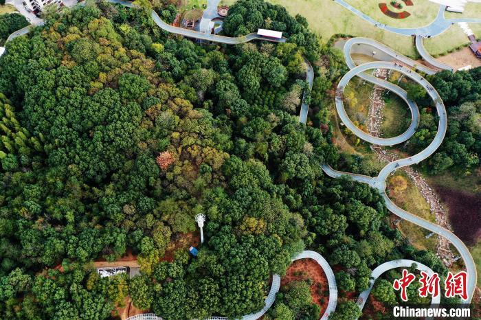 步道蜿蜒盘山而上，叠翠群峰，盘旋辗转，采用的是钢架镂空设计，是江西唯一的钢架镂空步道。　刘占昆 摄