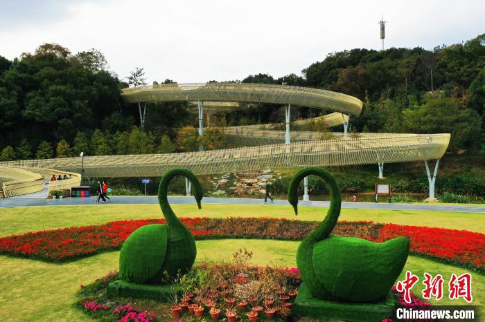 步道蜿蜒盘山而上，叠翠群峰，盘旋辗转，采用的是钢架镂空设计，是江西唯一的钢架镂空步道。　刘占昆 摄