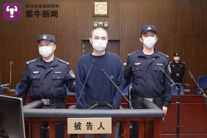 被告人严某杰在庭审中