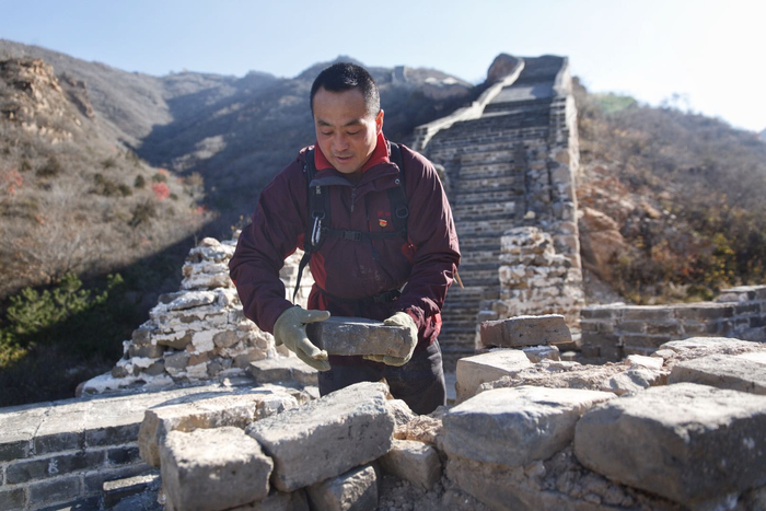 张杰将长城上被游客移位的石块搬回原处。新京报记者 郑新洽 摄