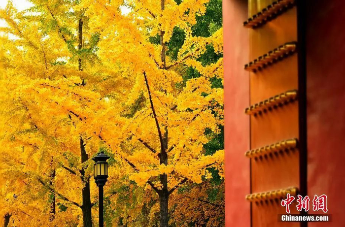 资料图。来源：视觉中国