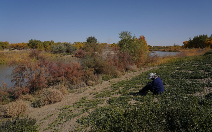 科考队员在对植物进行记录。中国绿发会 熊昱彤 摄