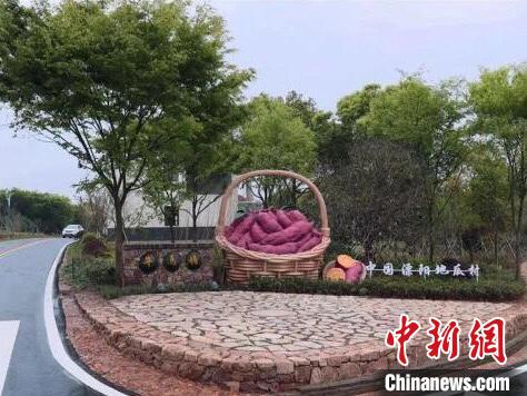 江苏省特色田园乡村——“地瓜村”牛马塘。　徐婷 摄