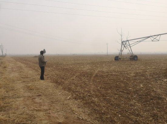 ▲张某芬的遗骨埋在闫小寨村北侧的空地里。新京报记者 李桂 摄