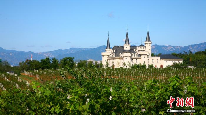 张裕爱斐堡酒庄坐落在北京密云生态涵养区