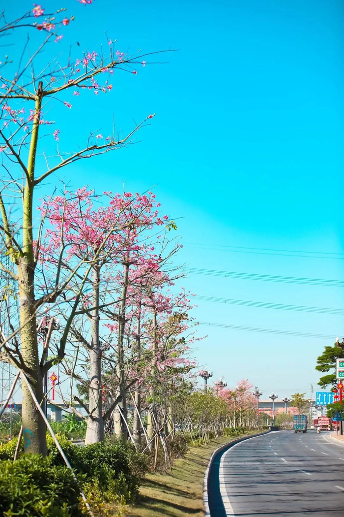 ▲中堂迎宾大道