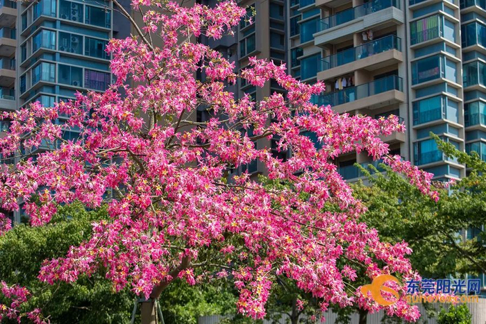 ▲摄影：李海春