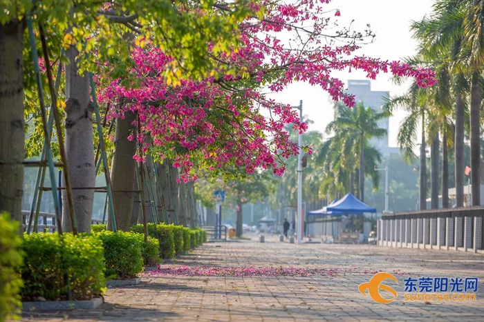 ▲摄影：李海春