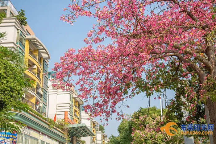 ▲摄影：李海春