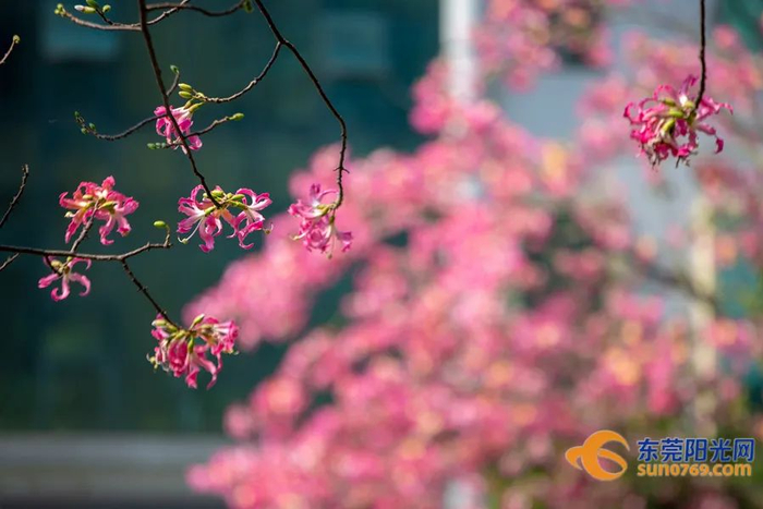 ▲摄影：李海春