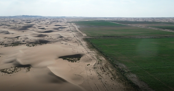 沙漠土壤化科研项目在内蒙古乌兰布和沙漠的试验基地