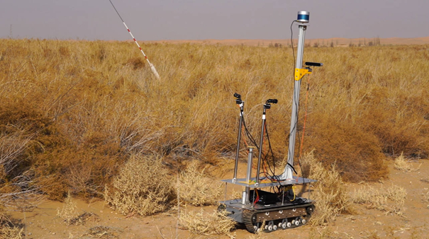 正在采集植物表征数据的传感器