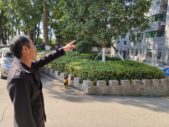     汨罗市罗江镇政府院内，翁先桂指出当年计生办坐落的位置。 刘言/摄