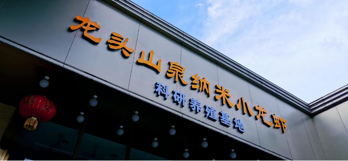 龙头山泉纳米小龙虾科研养殖基地 图片来源：穗东街道