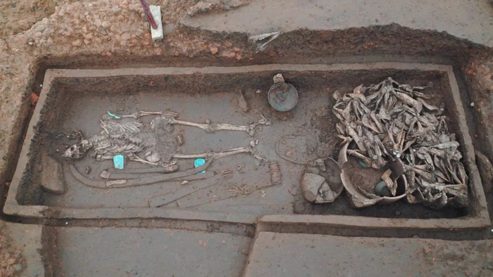 　　屈家岭文化M77全景