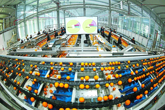 ▲图/信丰县委报道组 李健 摄