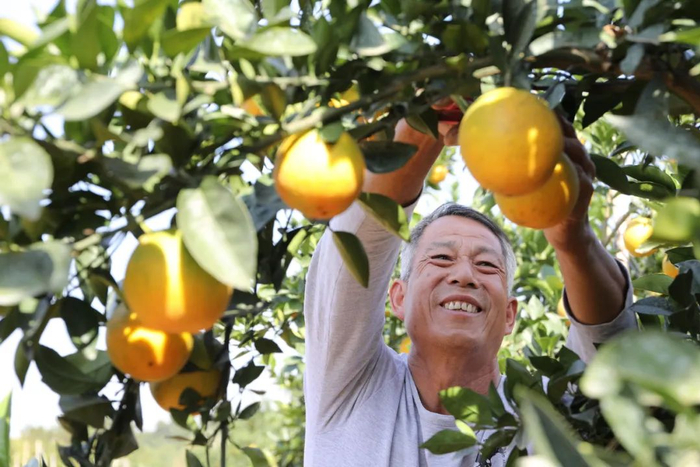 ▲图/信丰县委报道组 李健 摄