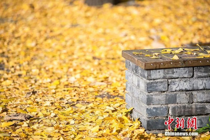 资料图 张浩钺 摄