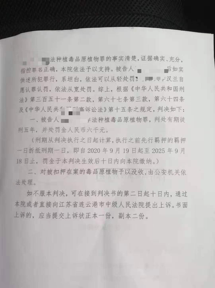 　李某兰一案的判决结果 受访者家属供图