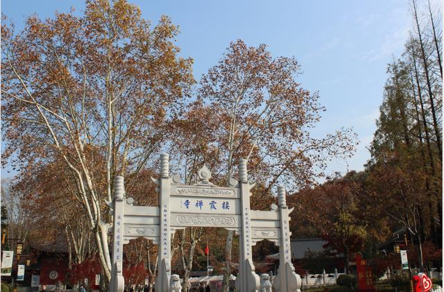 栖霞私人工作室新茶靠谱吗