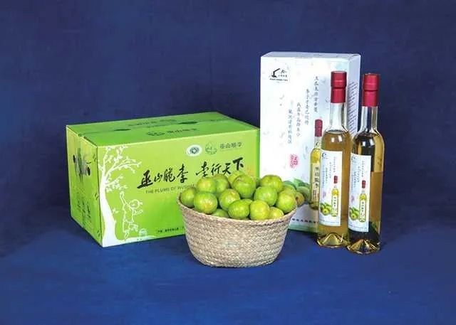 巫山脆李  巫山县委宣传部供图