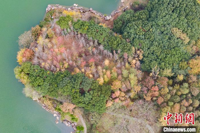 冬日里的白马涧生态园五彩斑斓，景色迷人。　泱波 摄