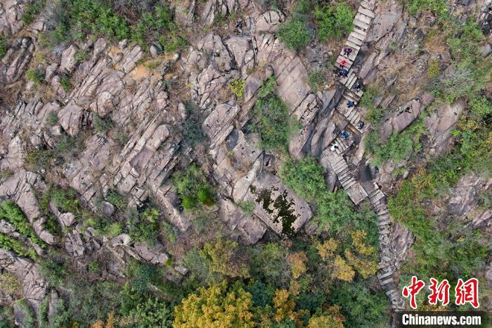 初冬时节的白马涧生态园，但见绿意依旧裹挟着奇巧的峰石。　泱波 摄