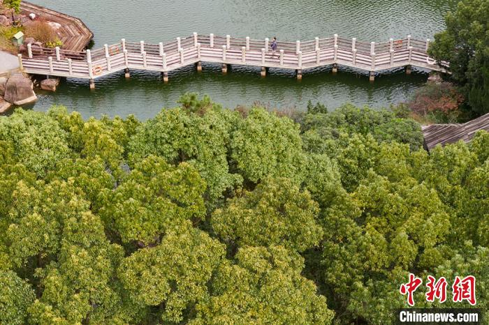 生态园内龙池风景区人文景观众多。　泱波 摄