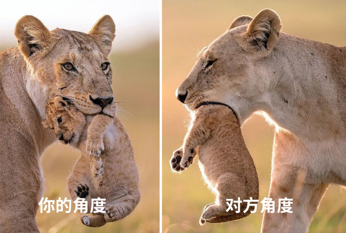 （图片来源于网络。摄影师：Andreas Hemb）