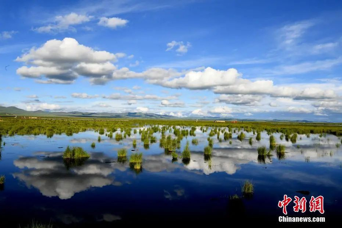 中新社记者 安源 摄