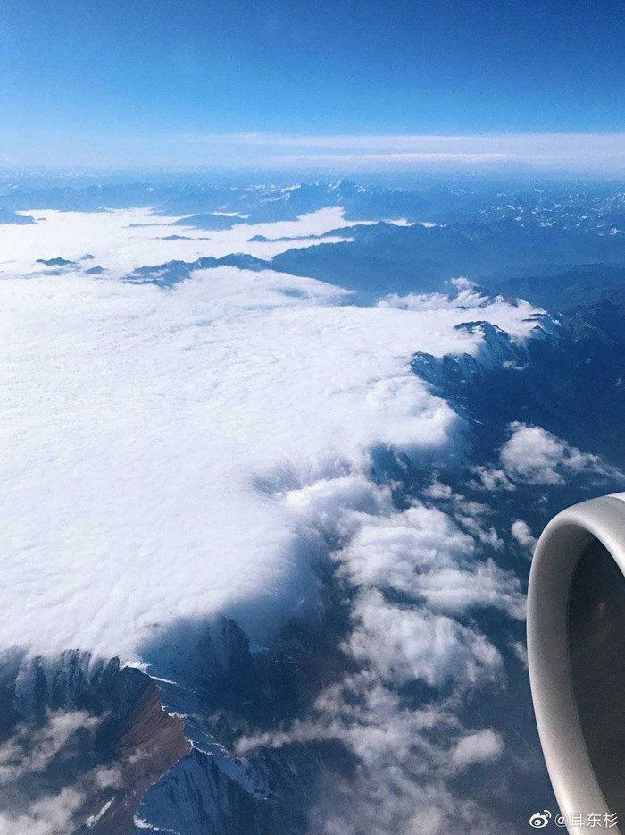 图片来源：@耳东杉