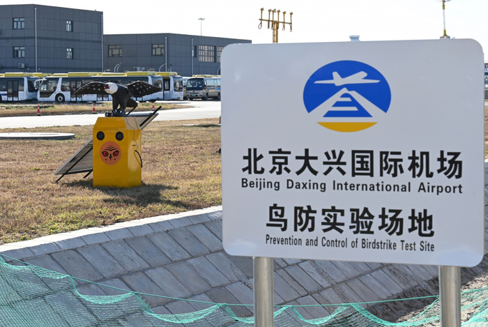 大兴国际机场鸟防实验场地。摄影/新京报记者 陶冉