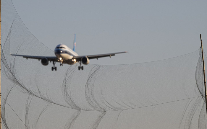 跑道旁的拦鸟网。摄影/新京报记者&nbsp;陶冉