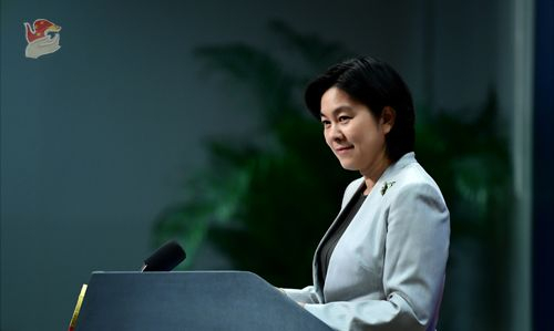 华春莹（资料图）