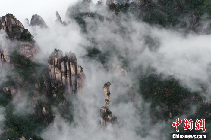 云雾中的三清山“巨蟒出山”景观，形似一硕大蟒蛇破山而出，吞云吐雾，昂然挺拔，直欲腾空冲天而去，令人叹为观止。　刘占昆 摄