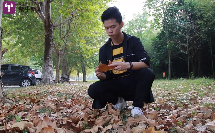 刘奇在捡适合雕刻的叶片