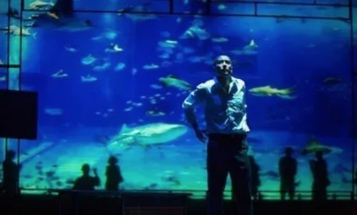 《奇鸟行状录》剧照