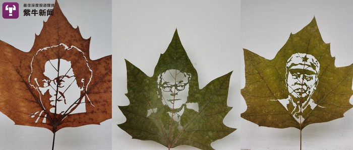 刘奇的共和国勋章获得者系列作品