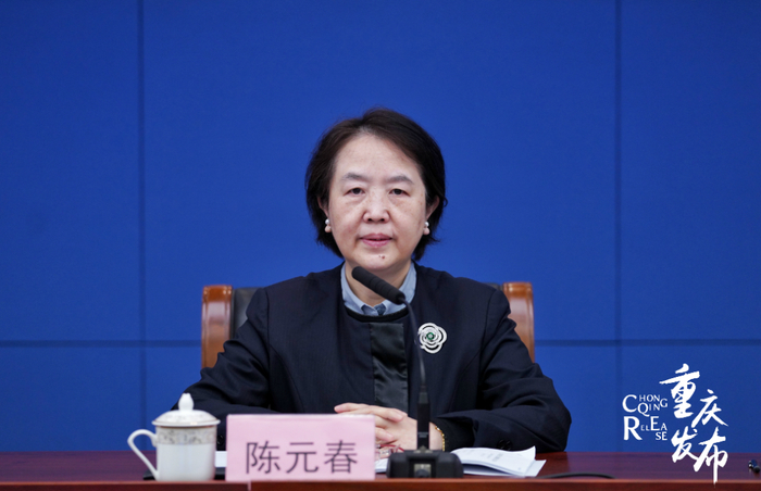 陈元春介绍有关情况 罗嘉 摄