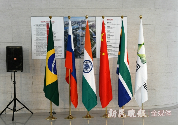 图说：一楼大厅里摆着中国、俄罗斯、巴西、印度、南非五个国家的国旗。陶磊 摄