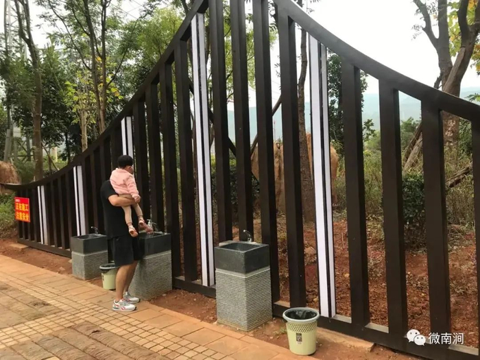 南涧县配有绿色植物的洗手台 图源：“微南涧”微信公众号