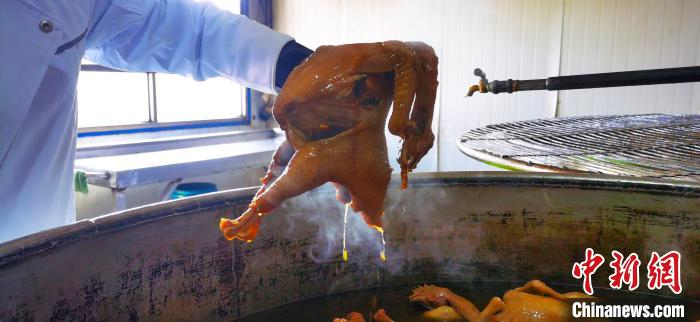 图为刚出锅的烧鸡。　魏建军 摄