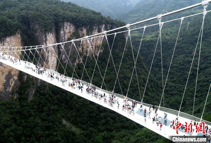 张家界大峡谷玻璃桥人气旺。　吴勇兵 摄