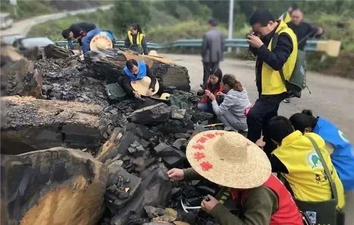 ▲专家指导学生采集腕足化石标本