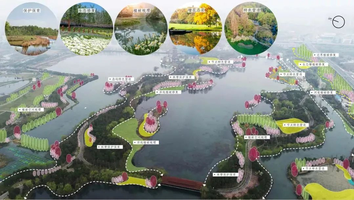洋湖湿地公园生态设计效果图