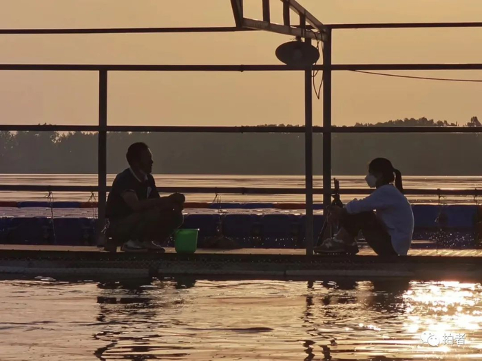 ▲2020年5月22日，湖北长江天鹅洲白暨豚国家级自然保护区，在采访江豚饲养员丁泽良的我。