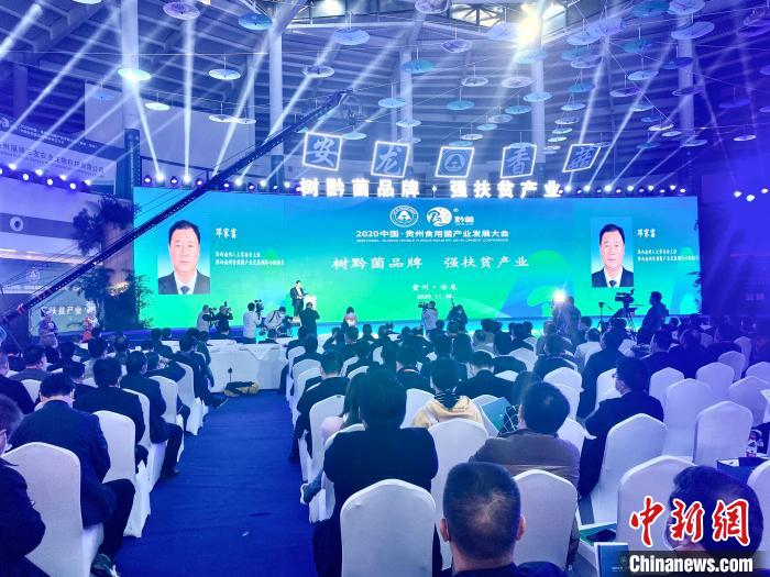 图为2020中国?贵州食用菌产业发展大会现场。　刘鹏　摄