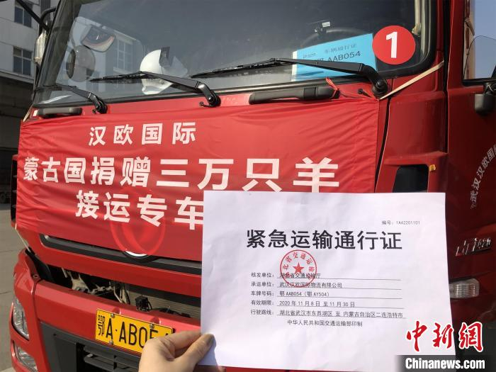 湖北省交通厅为集卡开具了“紧急运输通行证”，确保运输路上一路“绿灯” 王遥遥 摄