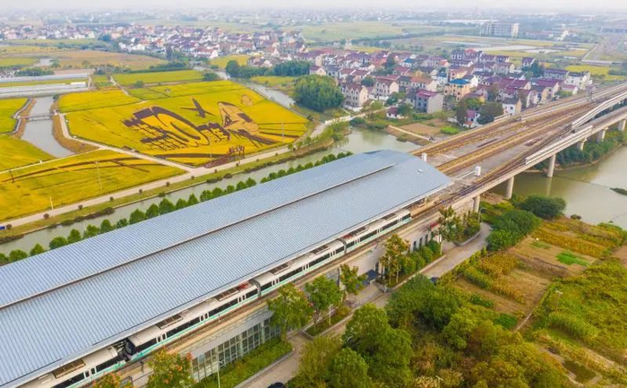今日南汇   孟雨涵 摄