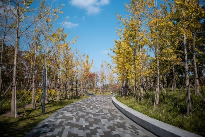 渐变色的地砖   董天晔 摄